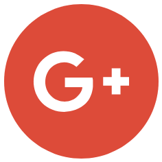 Google Icon